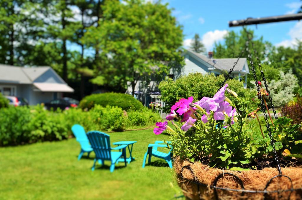 Maple Terrace Motel ウィリアムズタウン エクステリア 写真