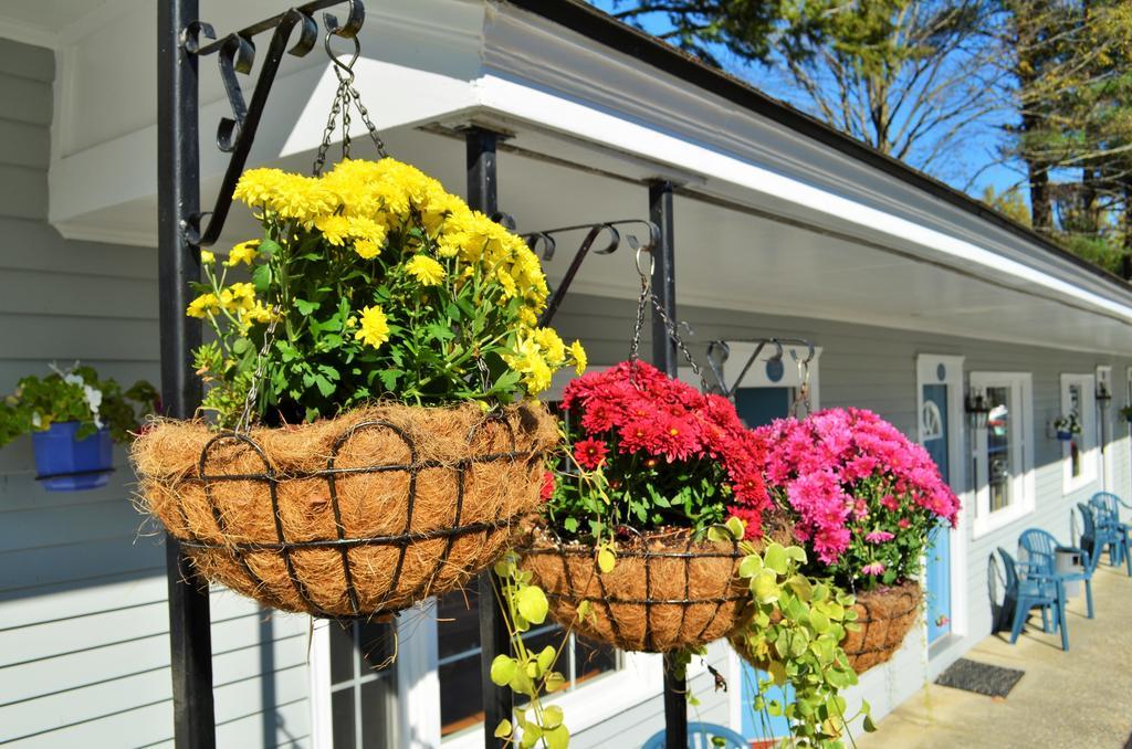 Maple Terrace Motel ウィリアムズタウン エクステリア 写真